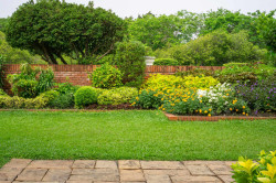 Devis pour un jardin sur-mesure avec arbustes  