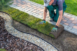Entretien jardin Brie-Comte-Robert