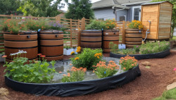 Installer un bassin dans son jardin  